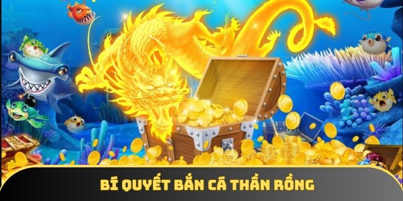 Chiến thuật chơi bắn cá phải áp dụng hiệu quả Chiến thuật chơi bắn cá phải áp dụng hiệu quả