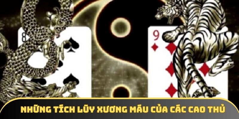 Những tích lũy xương máu của các cao thủ Những tích lũy xương máu của các cao thủ